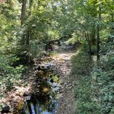 Lake Accotink Trail, Virginia - 2,449 Reviews, Map | AllTrails