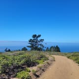 Sweeney Ridge Trail via Sneath Lane, California - 1,038 Reviews, Map ...