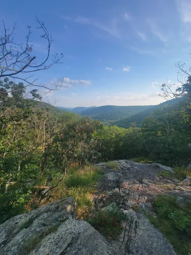 Best Hikes and Trails in Macedonia Brook State Park | AllTrails