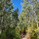 Dry Fork Trail – Durango Trails