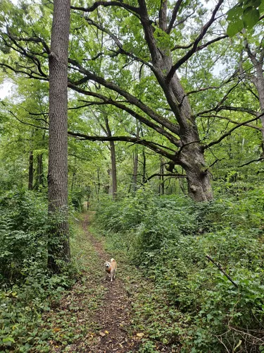 Best Hikes and Trails in Fox Bluff Conservation Area | AllTrails