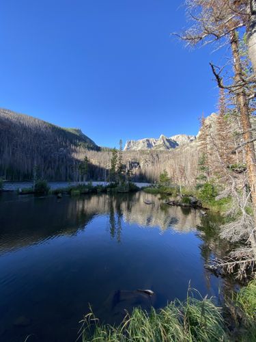 Odessa and Fern Lake via Fern Lake Trail: 3.001 fotos - Colorado