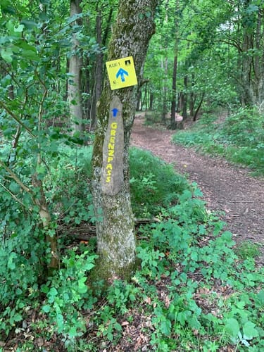 KUE1 offizielle MTB Strecke Külsheim