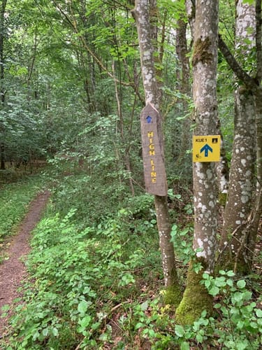 KUE1 offizielle MTB Strecke Külsheim