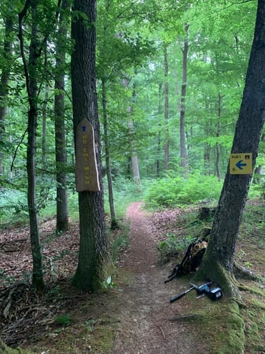 KUE1 offizielle MTB Strecke Külsheim