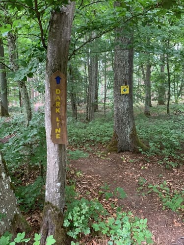 KUE1 offizielle MTB Strecke Külsheim