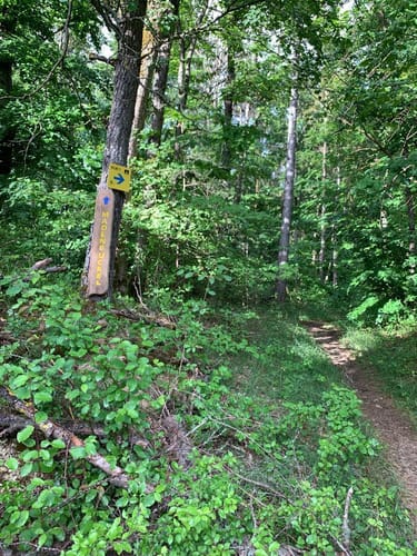 KUE1 offizielle MTB Strecke Külsheim