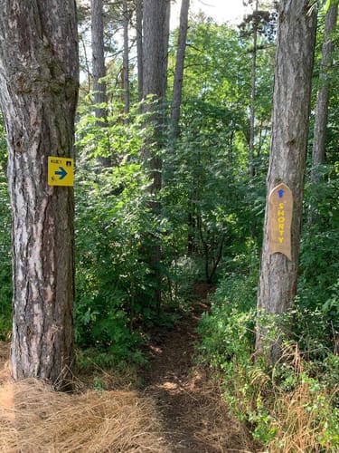 KUE1 offizielle MTB Strecke Külsheim