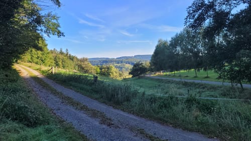 Durch den Leutkircher Wald
