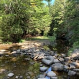 Bear Rocks, Raven Ridge, and Dobbin Grade Trail, West Virginia - 613 ...