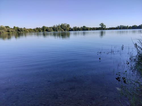 Um den Fermasee