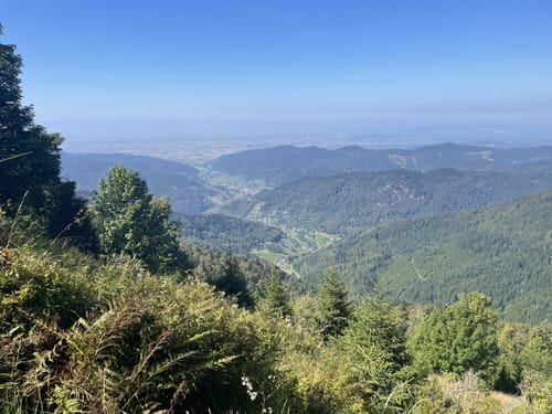 Belchensteig (Genießerpfad)
