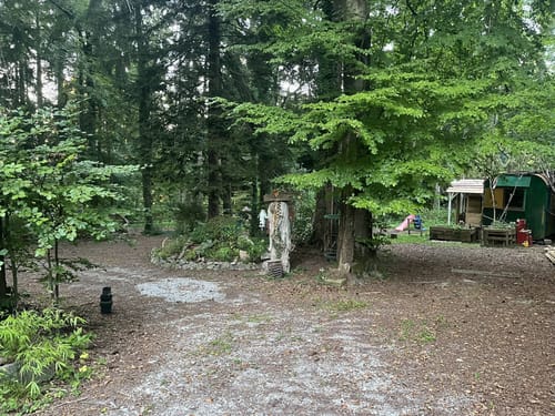 Germeringer See und Waldwanderung