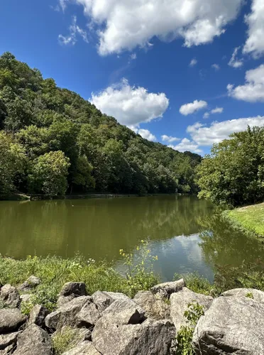 Clinch River State Park