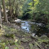 Hilton Falls Trail, Ontario, Canada - 2,252 Reviews, Map | AllTrails