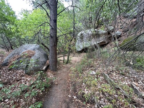 Photos of Domingo Baca Trail #230 - New Mexico