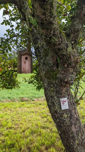 Lahnwanderweg Etappe 9: Lollar - Rodheim-Bieber