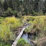 Angleworm Lake Trail, Minnesota 108 Reviews, Map AllTrails