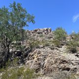 Signal Hill Trail, Arizona - 1,119 Reviews, Map | AllTrails