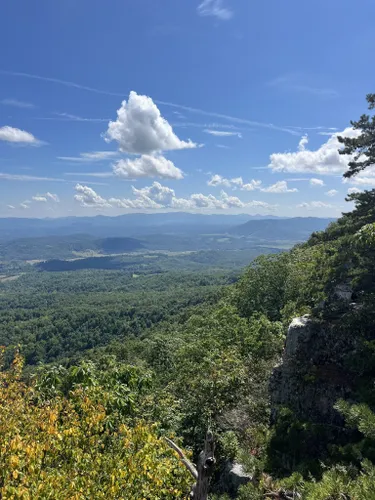 Best Hikes and Trails in Lexington | AllTrails