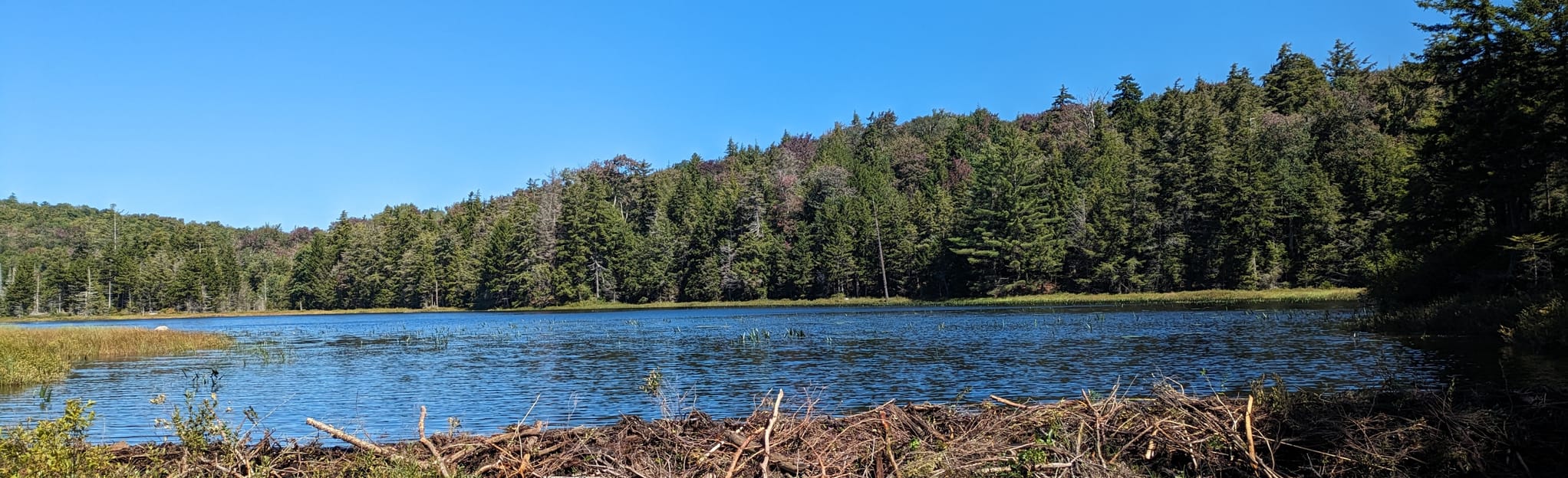 Broomstick Lake Trail , New York 136 Reviews, Map AllTrails