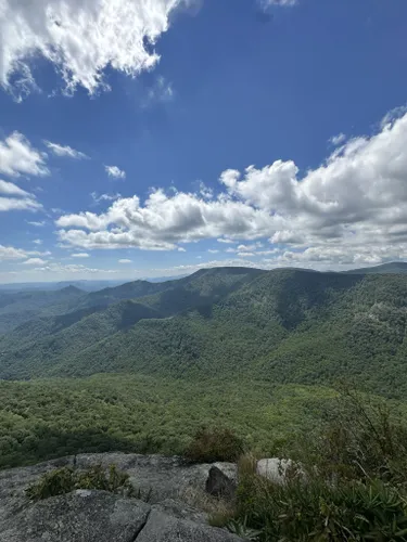 10 Best Hikes and Trails in Nantahala National Forest | AllTrails