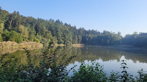 Von Meckenbeuren über Alznach und Grünkraut