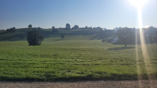 Von Meckenbeuren über Alznach und Grünkraut