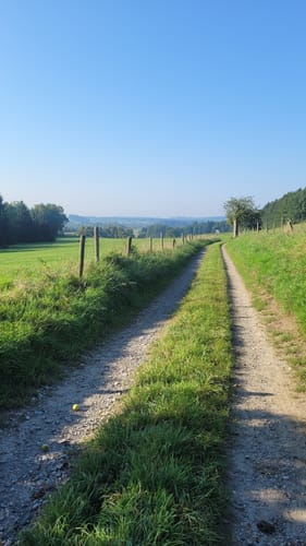 Von Meckenbeuren über Alznach und Grünkraut