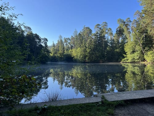 Donoper Teiche im Teutoburger Wald