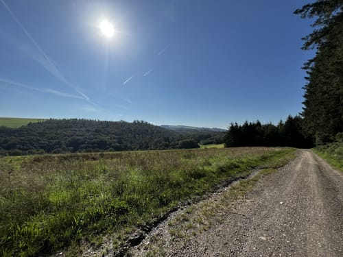 Mattheiser Wald Rundweg II