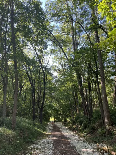 Urban Adventure: 5 Beautiful Hiking Trails in Peoria – Illinois