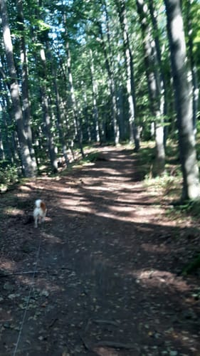Wacholderhöhe (Traufgang)