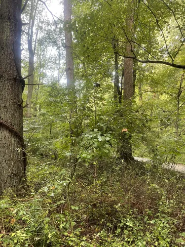 ridley creek state park bike trail