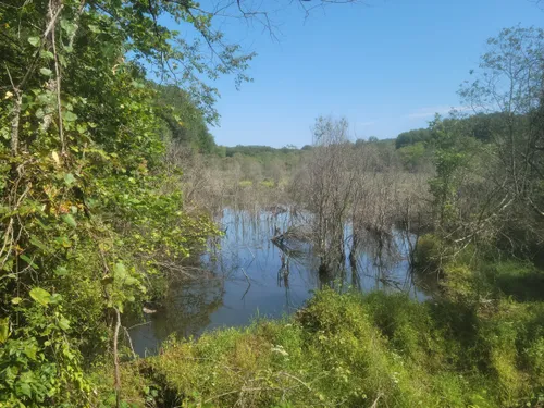 Best Hikes and Trails in Trout Brook Valley State Park Reserve | AllTrails