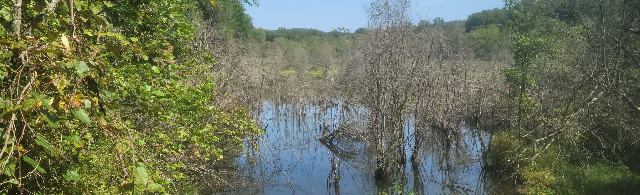 Green Trail to Red Trail to White Trail Loop, Connecticut 770 Reviews