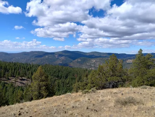 Best Hikes and Trails in Ochoco National Forest | AllTrails