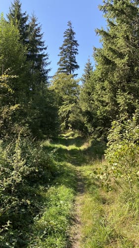 Nieste Rundwanderweg