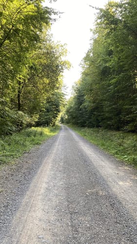 Nieste Rundwanderweg