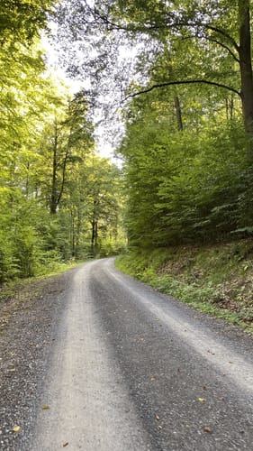 Nieste Rundwanderweg