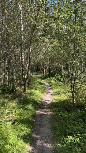 Nieste Rundwanderweg