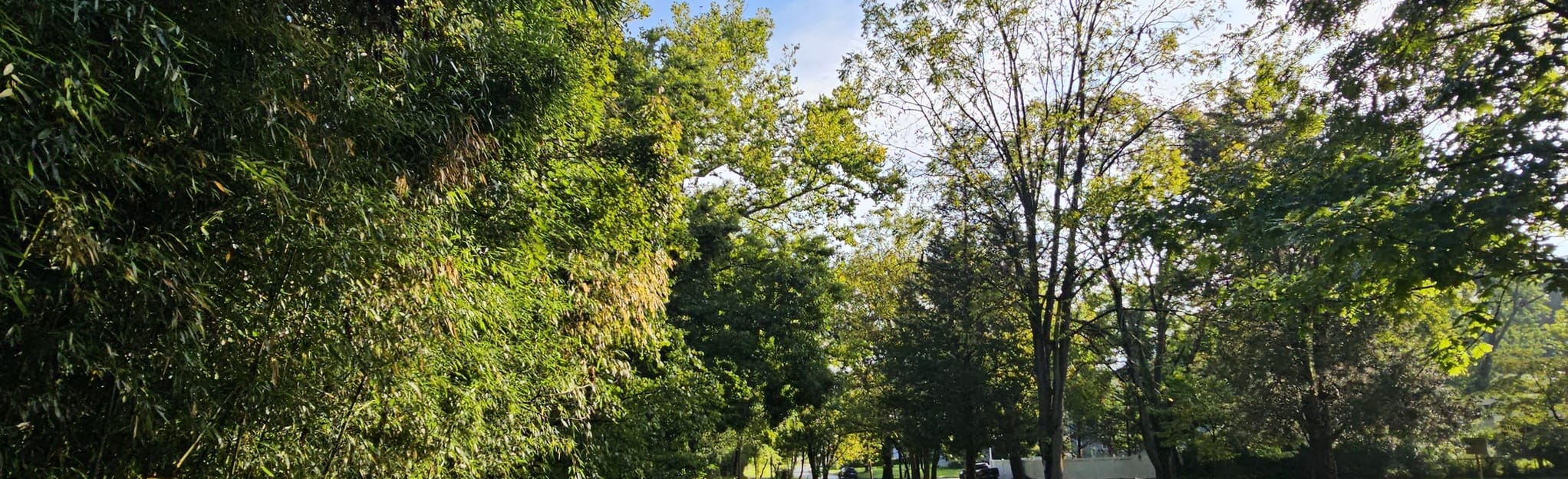 Matthew Henson Trail, Maryland 369 Reviews, Map AllTrails