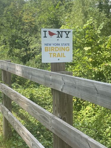 Albany County Rail Trail