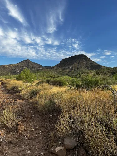 10 Best Hikes and Trails in Spur Cross Ranch Conservation Area | AllTrails