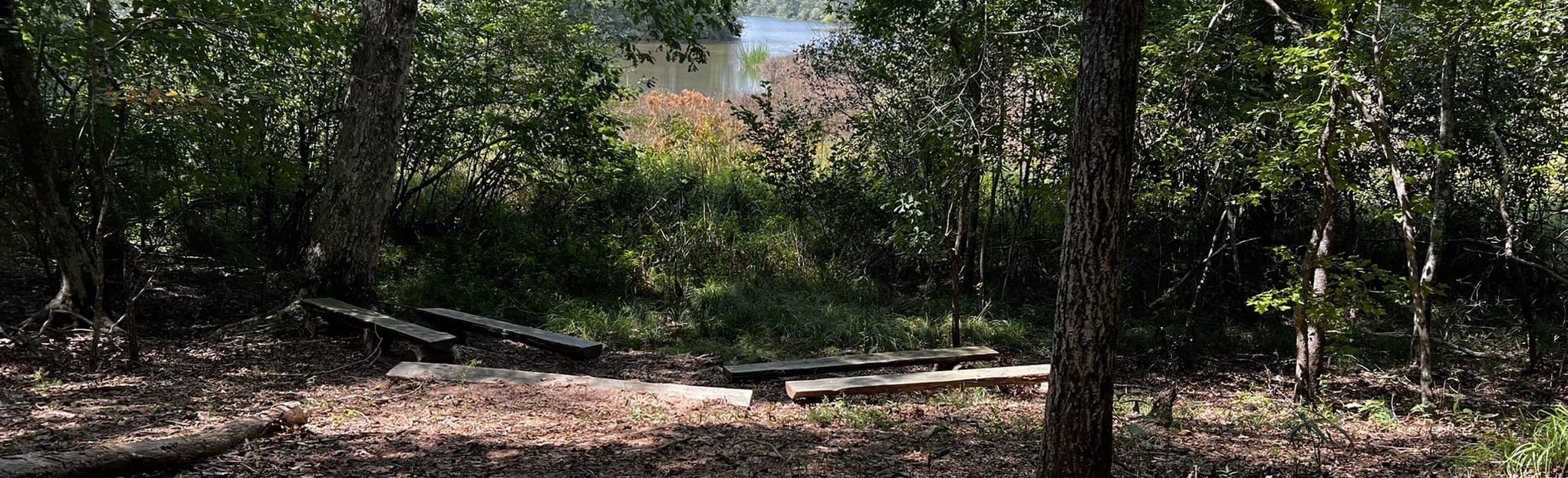 Blanton Creek Campground Loop, 9 Reviews, Map AllTrails