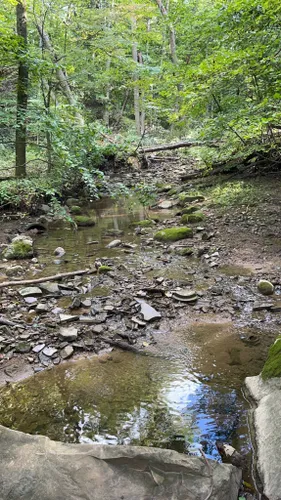 Best Hikes and Trails in Grand Ledge | AllTrails