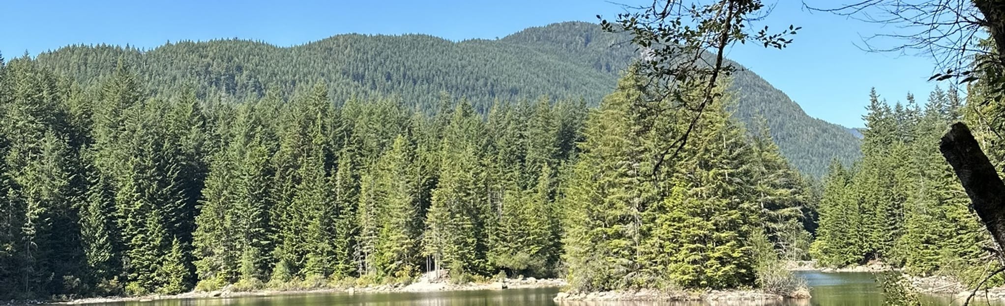 Rice Lake and Lynn Canyon Loop 4.043 foto Columbia Britannica