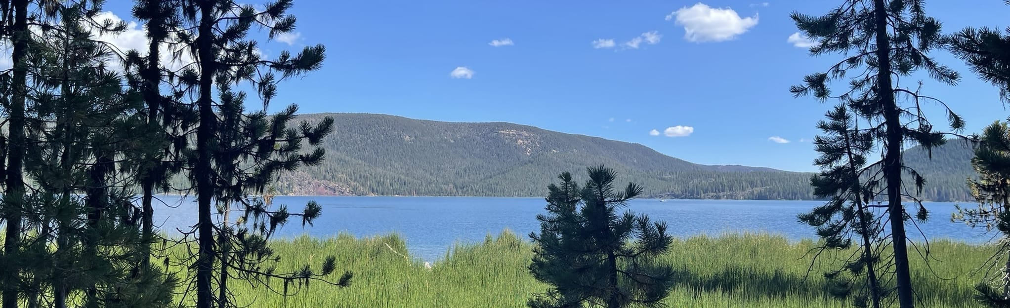 Paulina Lake and East Lake Rim Loop, Oregon - 25 Reviews, Map | AllTrails