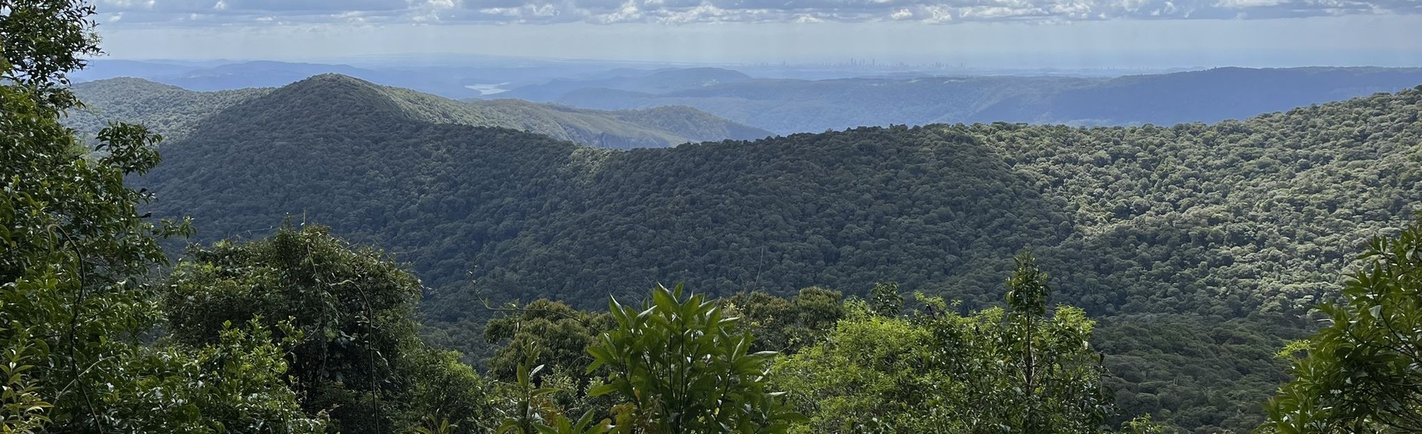 Binna Burra to O’Reillys via Coomera and Border Track, Queensland ...