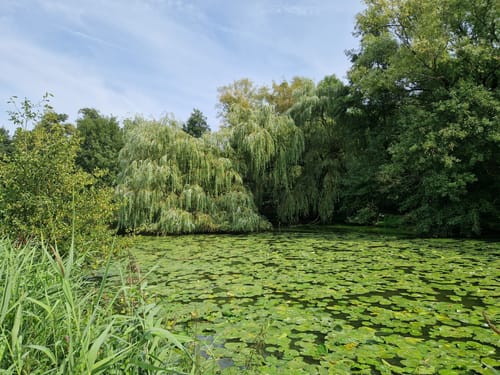 Nette-Seen (Premiumwanderweg)